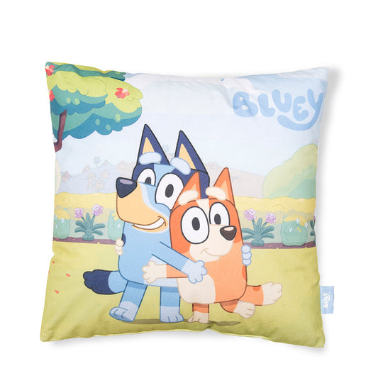 Cojín Velour Est. 40x40 cms Bluey