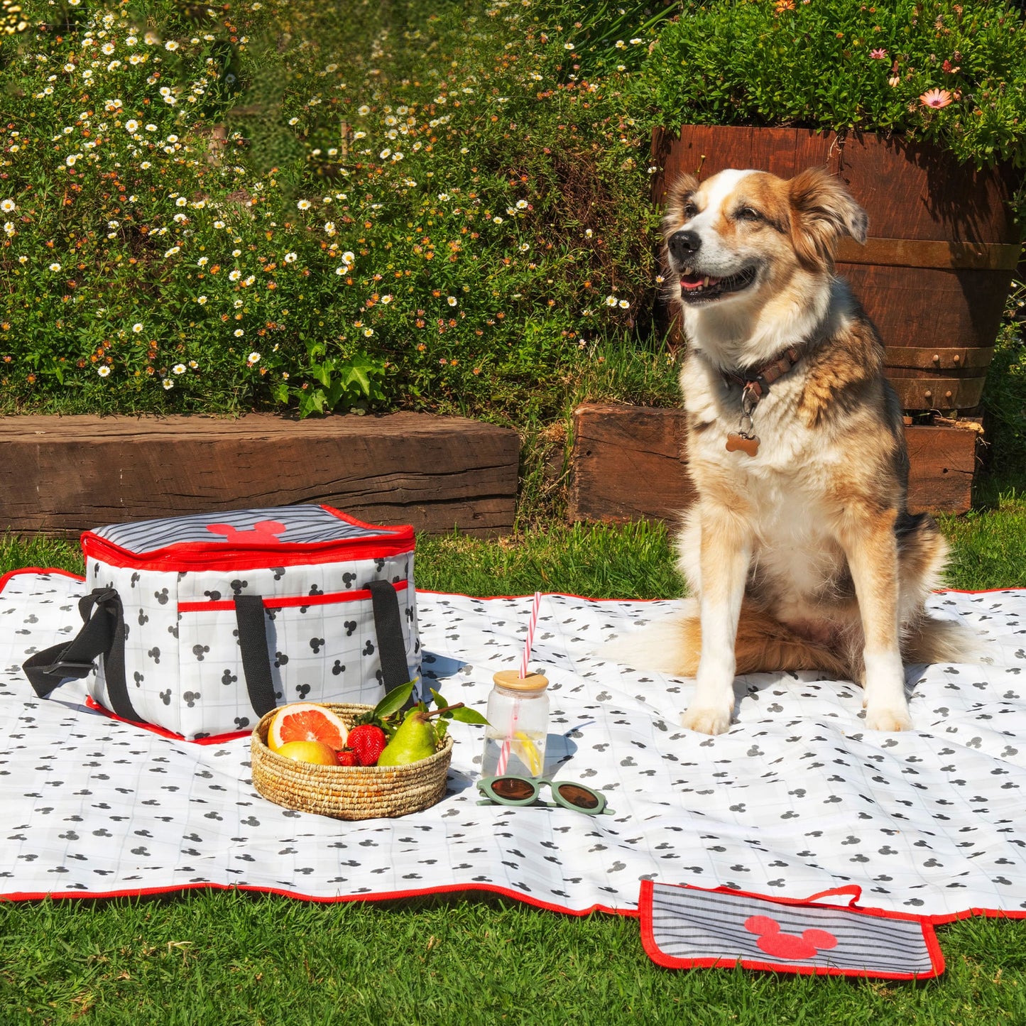 Manta Picnic 150x180 cm Mickey Cuadros