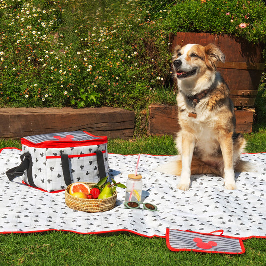 Manta Picnic 150x180 cm Mickey Cuadros